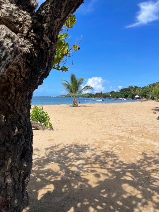 Appartement Vue Mer A 2 Minutes A Pied Des Plages Tartane لا ترينيت المظهر الخارجي الصورة
