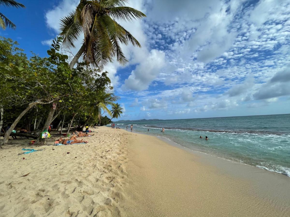 Appartement Vue Mer A 2 Minutes A Pied Des Plages Tartane لا ترينيت المظهر الخارجي الصورة